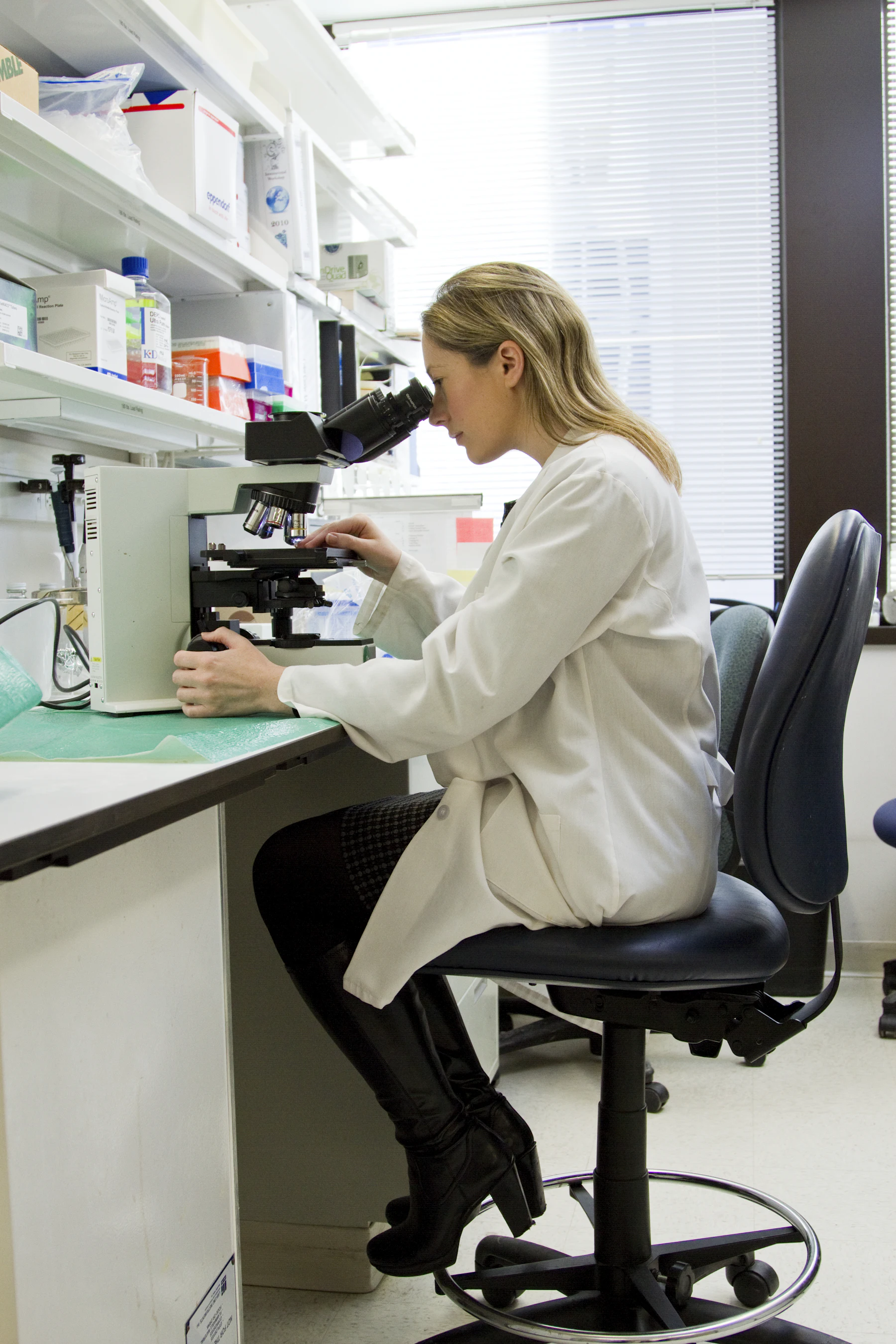 Profesional de laboratorio trabajando con un microscopio